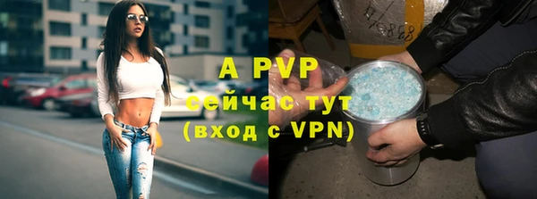 молекула духа Весьегонск