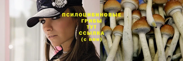 гашиш Бронницы