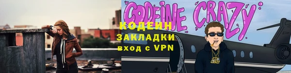 шишки Верея