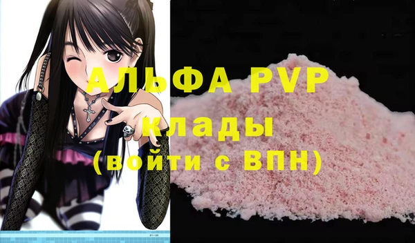 шишки Верея