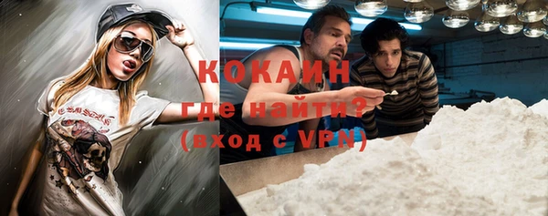 шишки Верея